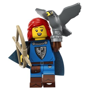 LEGO 71037 Falconer 5